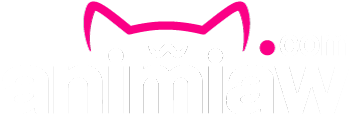 AniMiaw