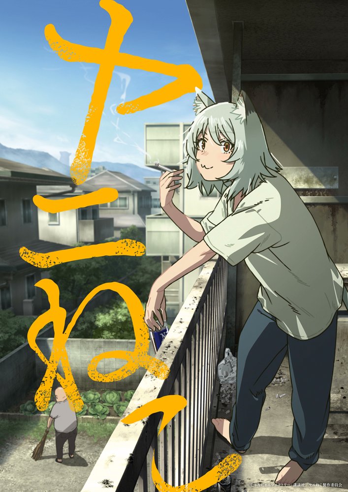 Chainsmoker Cat visual