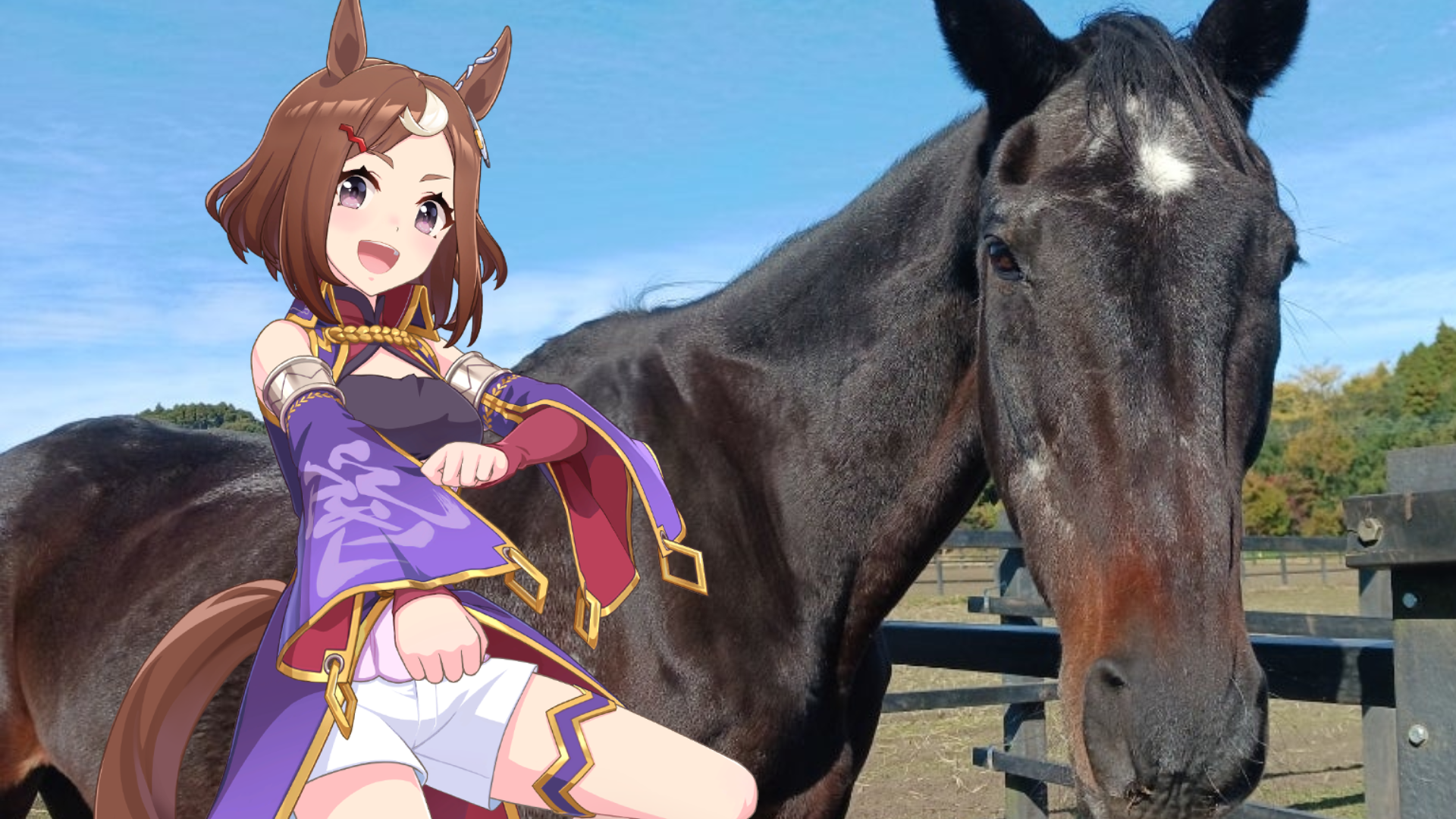 Fallece Tsurumaru Tsuyoshi, el caballo de carreras que inspiró a un personaje de "Uma Musume Pretty Derby" — Nyakko