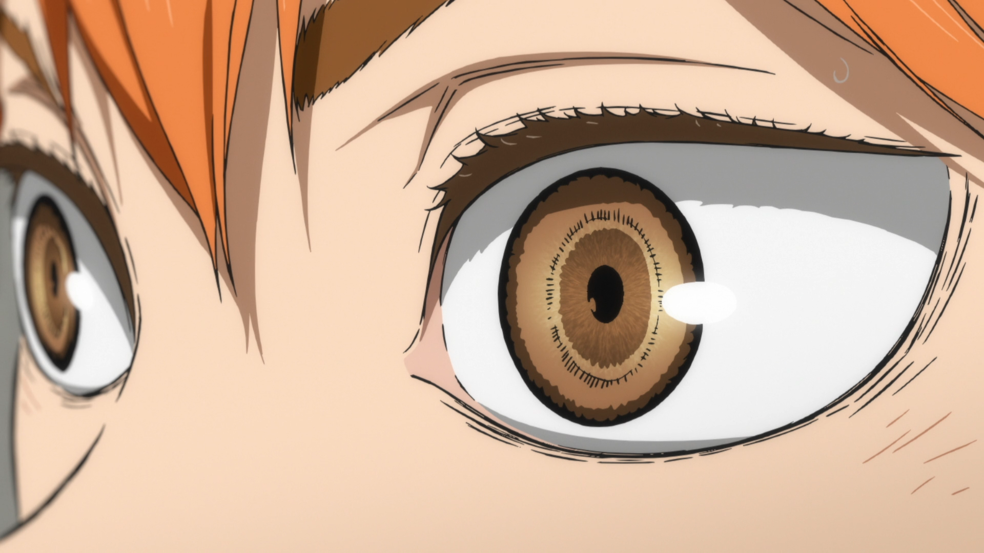Haikyuu!!: Nuevos detalles de la película y anime especial se revelarán el 19 de agosto — Nyakko